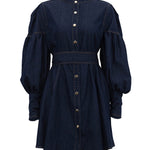 A-Line Long Sleeves Buttoned Pleated Split-Joint Tied Waist Mock Neck Mini Dresses