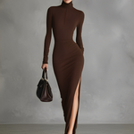 Women's Brown Stretch Fabric Chic Turtleneck Bodycon Slit Dress