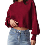 Zeagoo Womens 2024 Fall Crewneck Cropped Sweater
