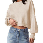 Zeagoo Womens 2024 Fall Crewneck Cropped Sweater