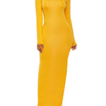 Bodycon Long Sleeves Solid Color High Neck Maxi Dresses