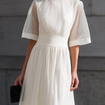 Sheer Sleeve Waist-Defined Midi Dress