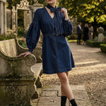 Long Sleeves Puff Sleeves Belted Bow-Embellished Solid Color V-Neck Mini Dresses