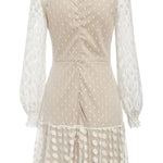 Emerton Polka Dot Lace Sheer Mesh Party Dress