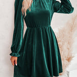 Turtleneck Long Sleeve Velvet Mini Dress
