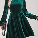Turtleneck Long Sleeve Velvet Mini Dress
