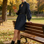 Long Sleeves Puff Sleeves Belted Bow-Embellished Solid Color V-Neck Mini Dresses