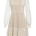 Emerton Polka Dot Lace Sheer Mesh Party Dress