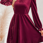 Turtleneck Long Sleeve Velvet Mini Dress