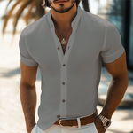Men's Summer Basic Stand Collar Textured Short Sleeve Shirt