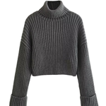 Ribbed Turtleneck Sweater