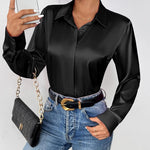 Zeagoo Women's Satin Blouse Elegant V-Neck Silk Blouse (DE Only)