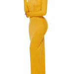 Bodycon Long Sleeves Solid Color High Neck Maxi Dresses