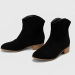 SUEDELLEA��� | WESTERN SUEDE BOOTS