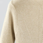 Stylish Long Sleeves High Waisted Pleated Solid Color Half Turtleneck Sweater Dresses