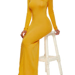 Bodycon Long Sleeves Solid Color High Neck Maxi Dresses