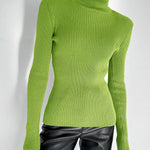 Long Sleeves Skinny Solid Color High Neck Pullovers Sweater Sweater Tops