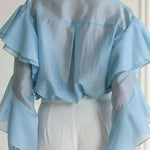 Ruffled Sheer Blouse