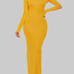 Bodycon Long Sleeves Solid Color High Neck Maxi Dresses